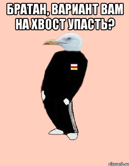 братан, вариант вам на хвост упасть? 