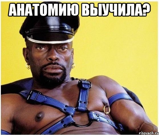 анатомию выучила? 