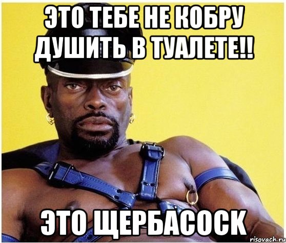 Это тебе не кобру душить в туалете!! Это ЩербаCOCK, Мем Черный властелин