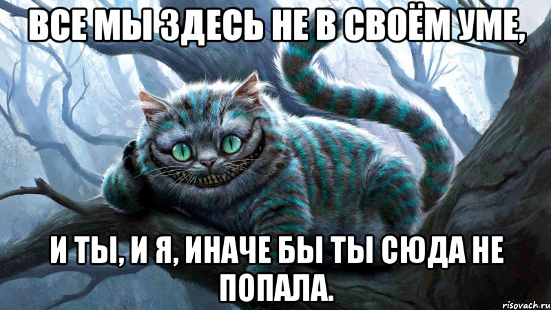 cheshirskiy-kot_38059716_big_.jpeg