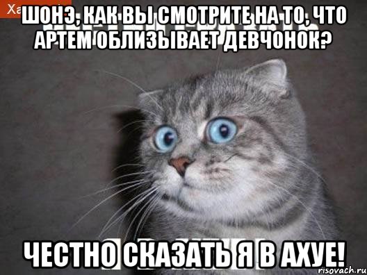 Шонэ, как вы смотрите на то, что Артем облизывает девчонок? Честно сказать я в ахуе!, Мем  удивлённый кот