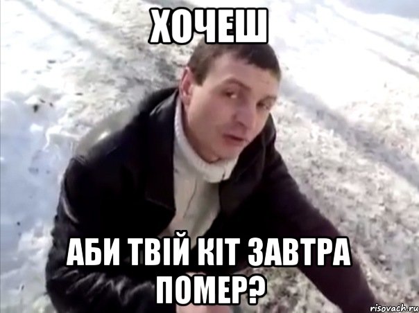 хочеш аби твій кіт завтра помер?, Мем Четко