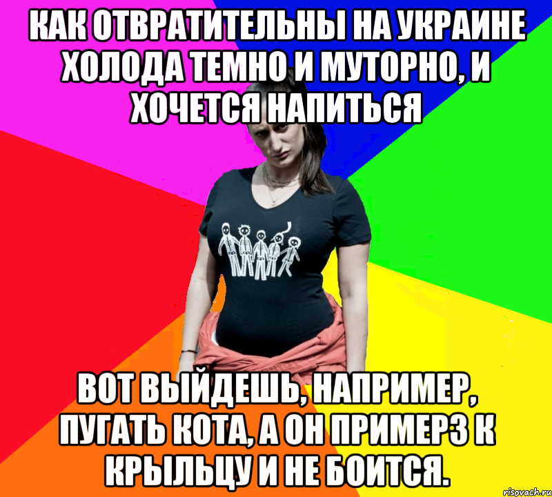 Как отвратительны на Украине холода Темно и муторно, и хочется напиться Вот выйдешь, например, пугать кота, А он примерз к крыльцу и не боится., Мем чотка мала