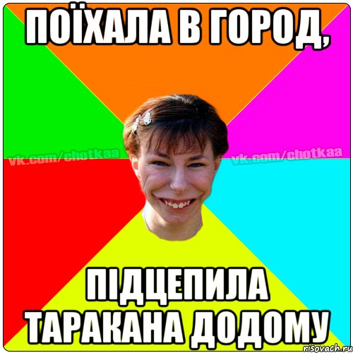 Поїхала в город, підцепила таракана додому