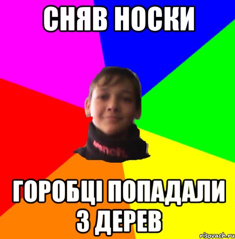 СНЯВ НОСКИ ГОРОБЦI ПОПАДАЛИ З ДЕРЕВ