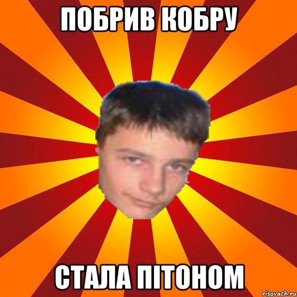 Побрив кобру Стала пітоном