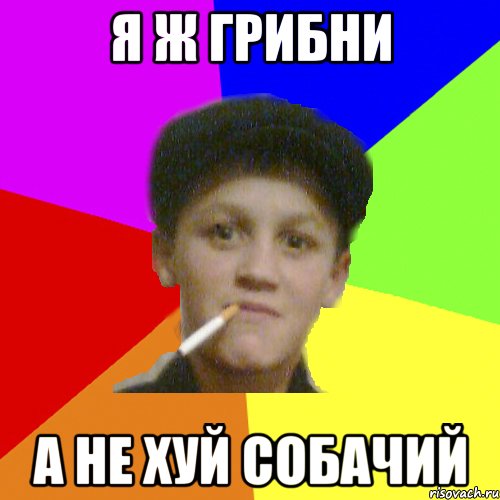 Я ж грибни а не хуй собачий