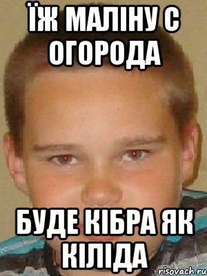 Їж маліну с огорода буде кібра як кіліда
