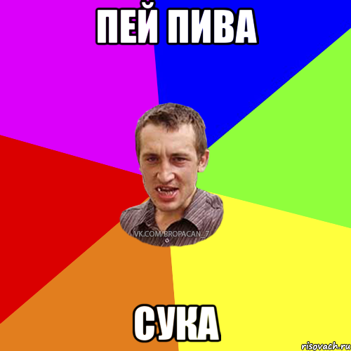 пей пива сука