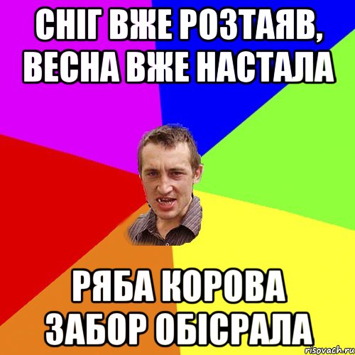 Сніг вже розтаяв, весна вже настала ряба корова забор обісрала, Мем Чоткий паца