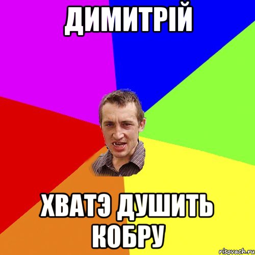 Димитрій хватэ душить кобру, Мем Чоткий паца