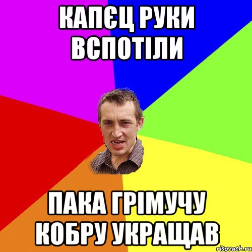 Капєц руки вспотіли Пака грімучу кобру укращав, Мем Чоткий паца