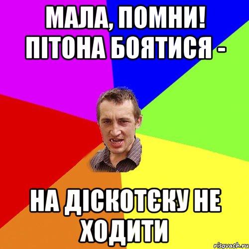 мала, помни! пітона боятися - на діскотєку не ходити, Мем Чоткий паца