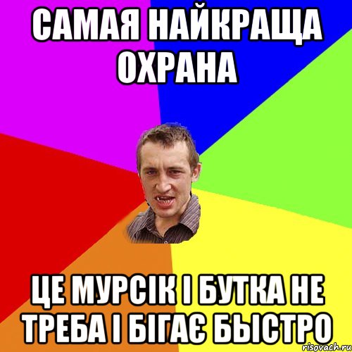 самая найкраща охрана це мурсік і бутка не треба і бігає быстро, Мем Чоткий паца