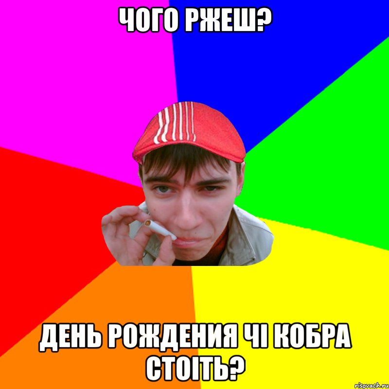 чого ржеш? день рождения чі кобра стоіть?