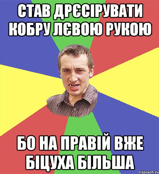 став дрєсірувати кобру лєвою рукою бо на правій вже біцуха більша, Мем чоткий паца