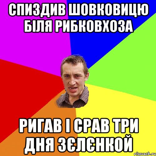 Спиздив шовковицю біля рибковхоза ригав і срав три дня зєлєнкой, Мем Чоткий паца