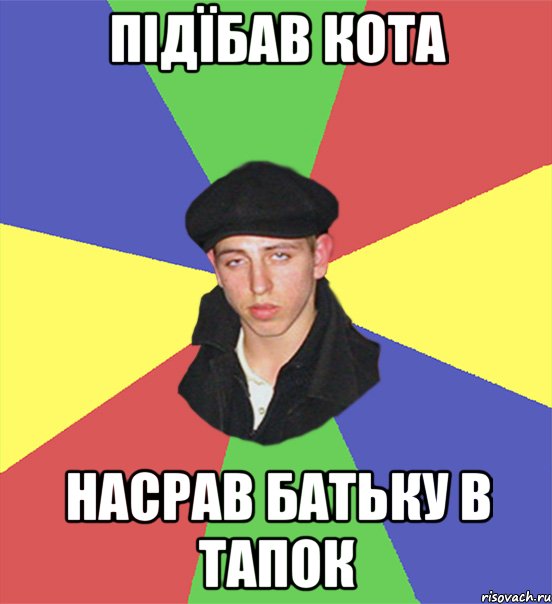 підїбав кота насрав батьку в тапок