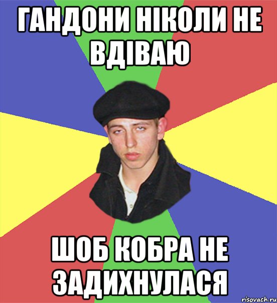 гандони ніколи не вдіваю шоб кобра не задихнулася