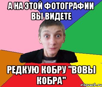 а на этой фотографии вы видете редкую кобру "Вовы кобра", Мем Чоткий Вова