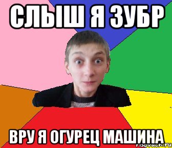 СЛыш я зубр вру я огурец машина
