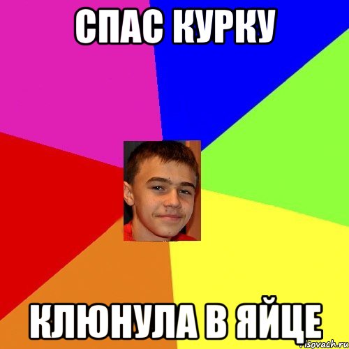 Спас курку Клюнула в яйце