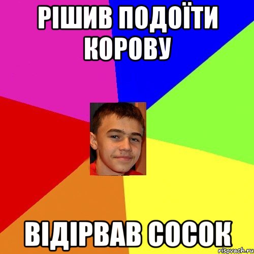 Рішив подоїти корову Відірвав сосок