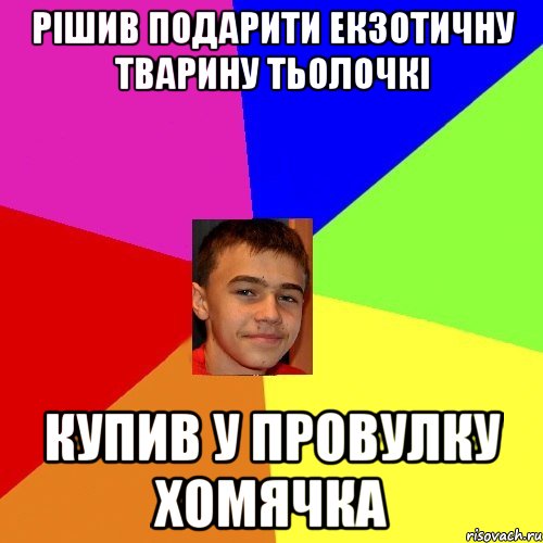 Рішив подарити екзотичну тварину тьолочкі Купив у провулку хомячка