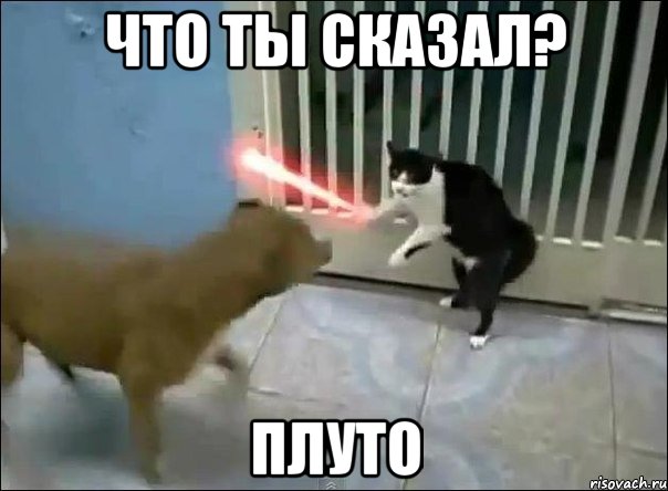 что ты сказал? плуто