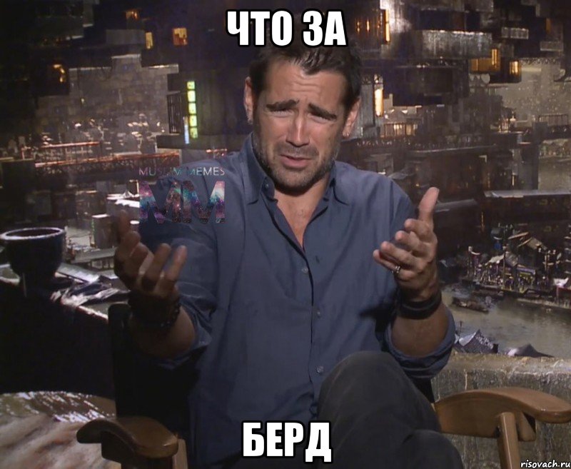 что за берд