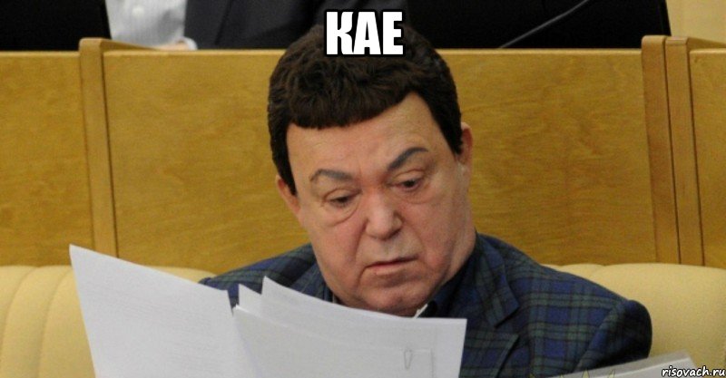 Кае , Мем что за хуйню я сейчас читаю