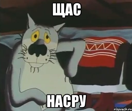 щас насру