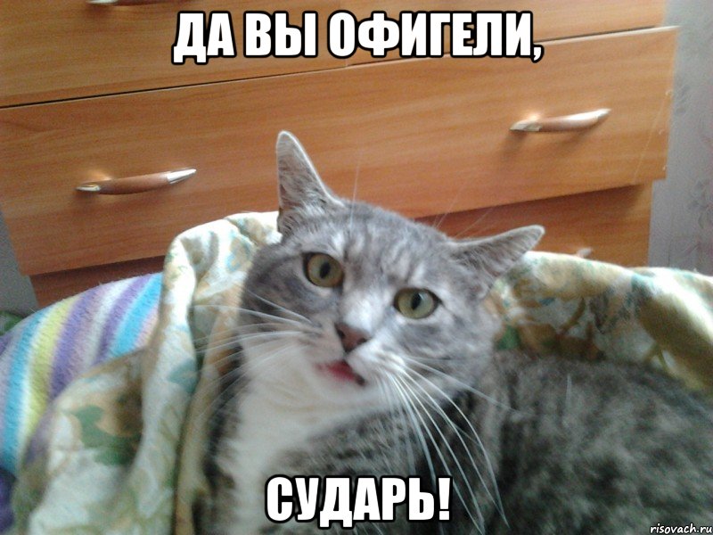 da-ty-ofigel_37126579_big_.jpeg