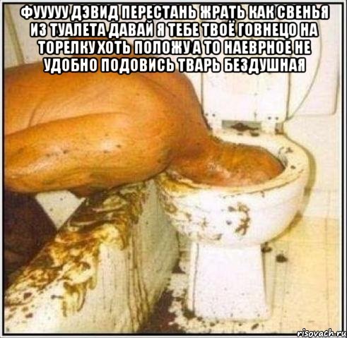 Фууууу Дэвид перестань жрать как свенья из туалета давай я тебе твоё говнецо на торелку хоть положу а то наеврное не удобно подовись тварь бездушная , Мем Дайвер