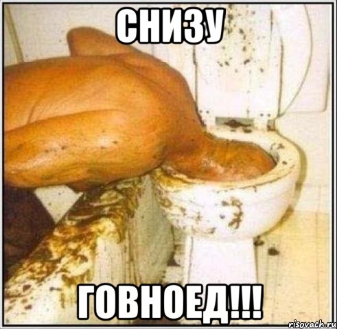 Снизу ГОВНОЕД!!!, Мем Дайвер