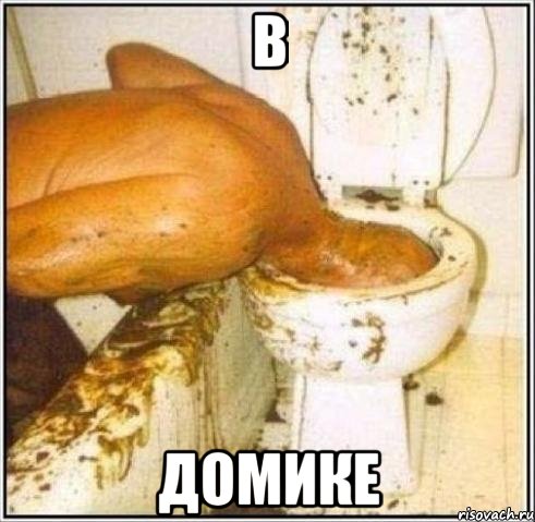 в домике, Мем Дайвер