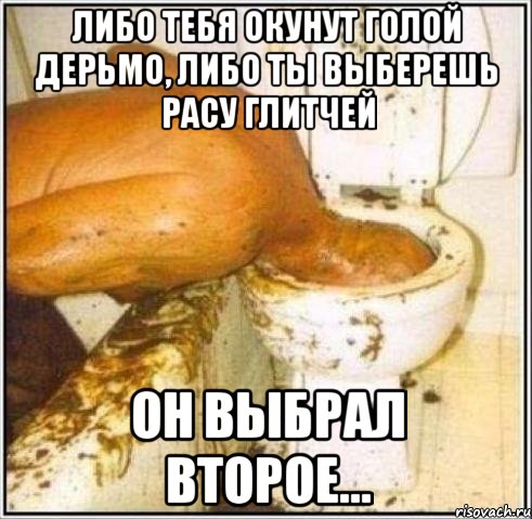 Либо тебя окунут голой дерьмо, либо ты выберешь расу Глитчей Он выбрал второе..., Мем Дайвер