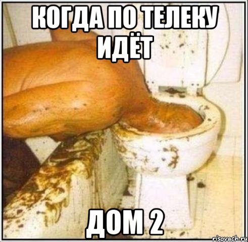 Когда по телеку идёт дом 2, Мем Дайвер
