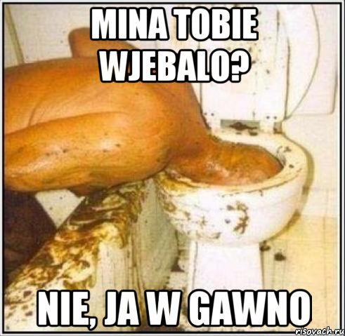 mina tobie wjebalo? nie, ja w gawno, Мем Дайвер