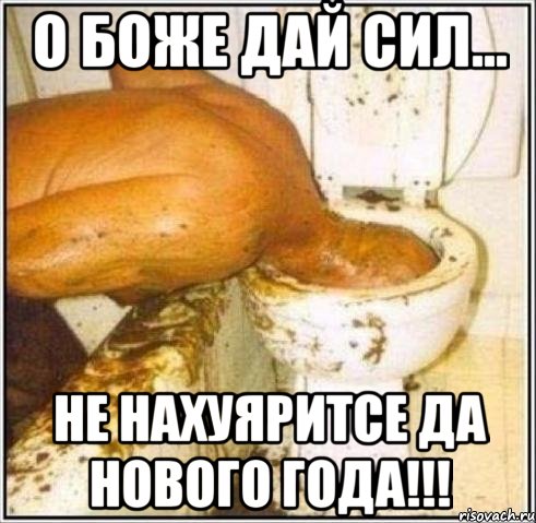 О Боже дай сил... не нахуяритсе да Нового Года!!!, Мем Дайвер