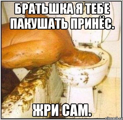 Братьшка я тебе пакушать принёс. Жри сам., Мем Дайвер