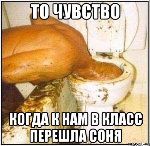 то чувство когда к нам в класс перешла соня, Мем Дайвер