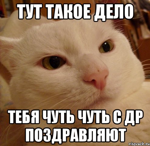 тут такое дело тебя чуть чуть с др поздравляют