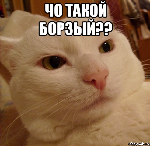 Чо такой БОРЗЫЙ?? 