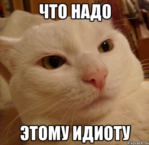 что надо этому идиоту