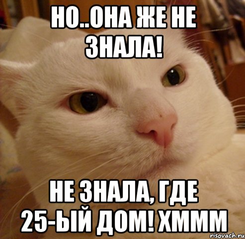 Но..она же не знала! Не знала, где 25-ый дом! Хммм