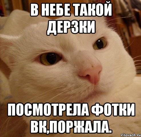 в небе такой дерзки посмотрела фотки вк,поржала.