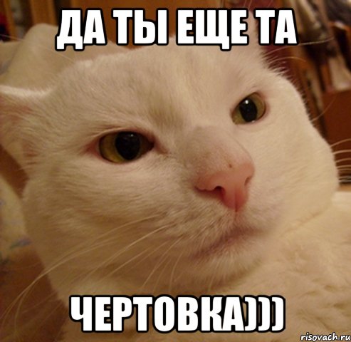 да ты еще та чертовка)))