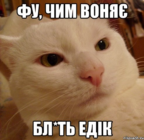 Фу, чим воняє Бл*ть Едік
