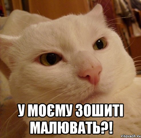 У моєму зошиті малювать?!, Мем Дерзкий котэ